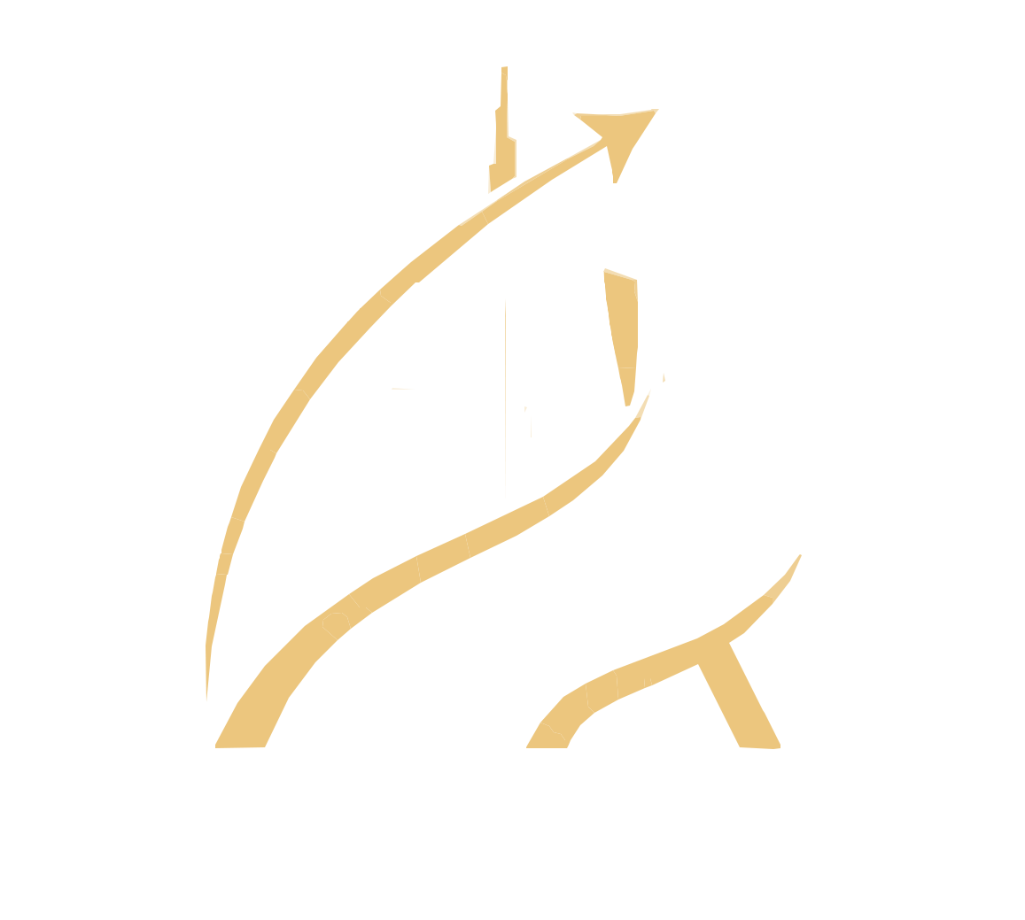 LFA Global Management Consultancies